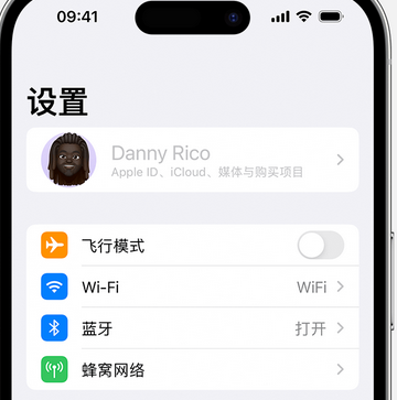 九原appleID维修服务iPhone设置中Apple ID显示为灰色无法使用 