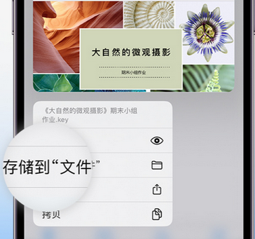 九原apple维修中心分享iPhone文件应用中存储和找到下载文件