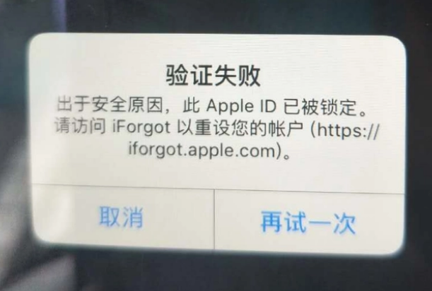 九原iPhone维修分享iPhone上正常登录或使用AppleID怎么办 