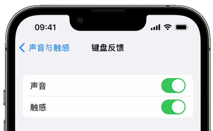 九原苹果手机维修分享iPhone 14触感键盘使用方法 