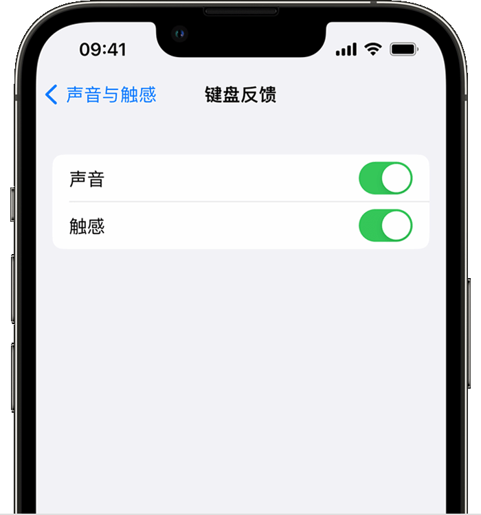 九原苹果14维修店分享如何在 iPhone 14 机型中使用触感键盘 