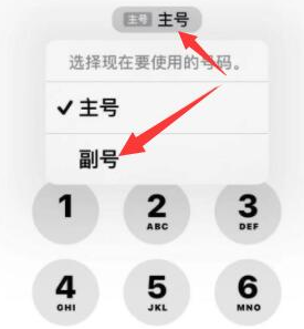 九原苹果14维修店分享iPhone 14 Pro Max使用副卡打电话的方法 