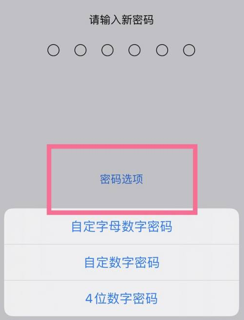 九原苹果14维修分享iPhone 14plus设置密码的方法 