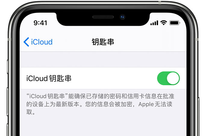 九原苹果手机维修分享在 iPhone 上开启 iCloud 钥匙串之后会储存哪些信息 