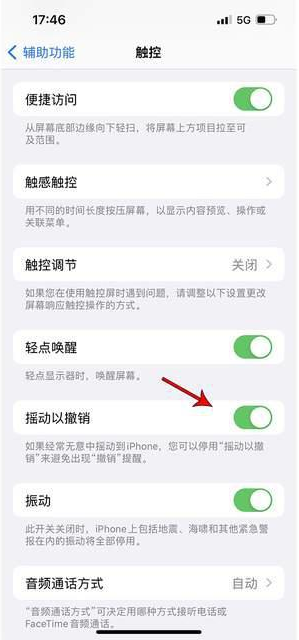 九原苹果手机维修分享iPhone手机如何设置摇一摇删除文字 